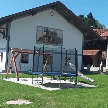 Ferienwohnung Im Bayerischen Wald Mit Terrasse Viechtach Dış mekan fotoğraf